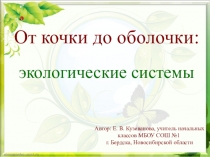 Презентация к уроку окружающий мир От кочки до оболочки: экологические системы, НИШ 3 класс
