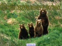 Презентация  Способы передвижения животных