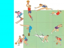 Виды физической культуры презентация