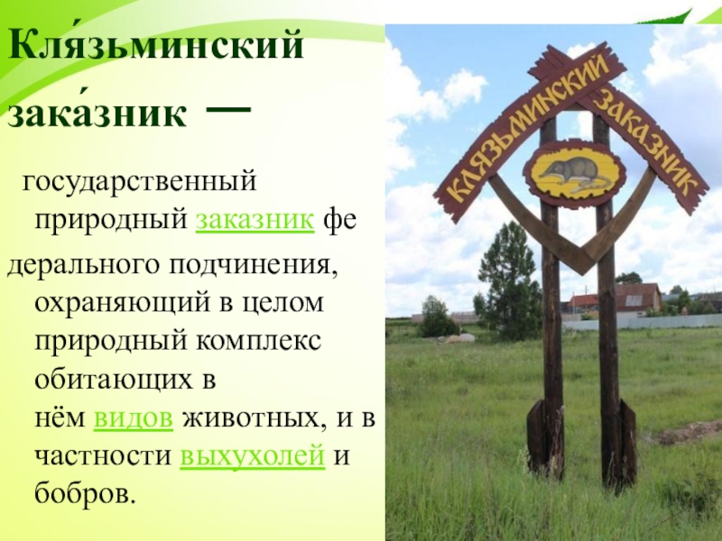 Клязьминский заказник презентация