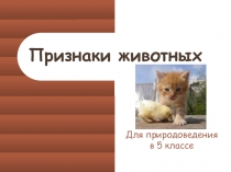 Презентация по окружающему миру на тему Признаки животных