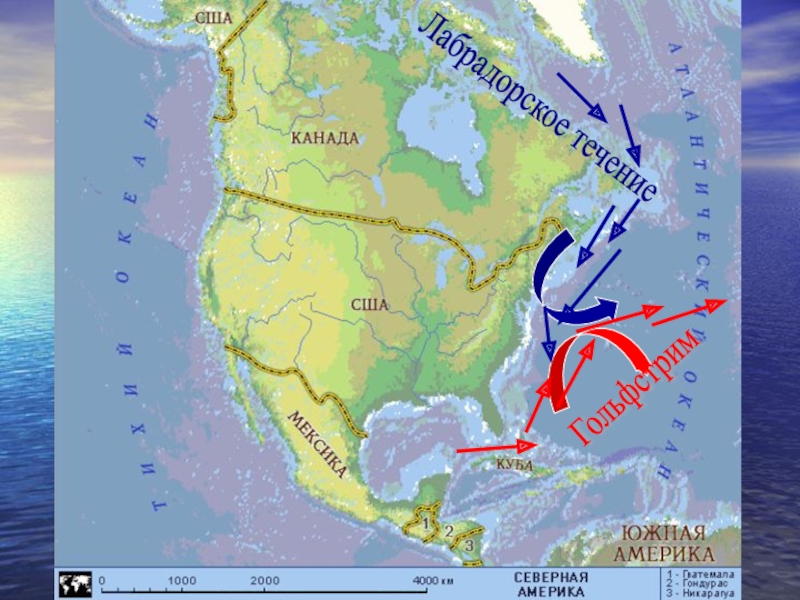 Тысяча течение. Течения Северной Америки на карте. Течения Северной Америки. Теплые течения Северной Америки на карте. Тетечения Северной Америки.