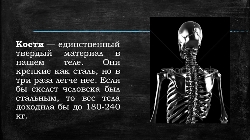 Презентация Презентация по биологии на тему Скелет человека (8 класс)