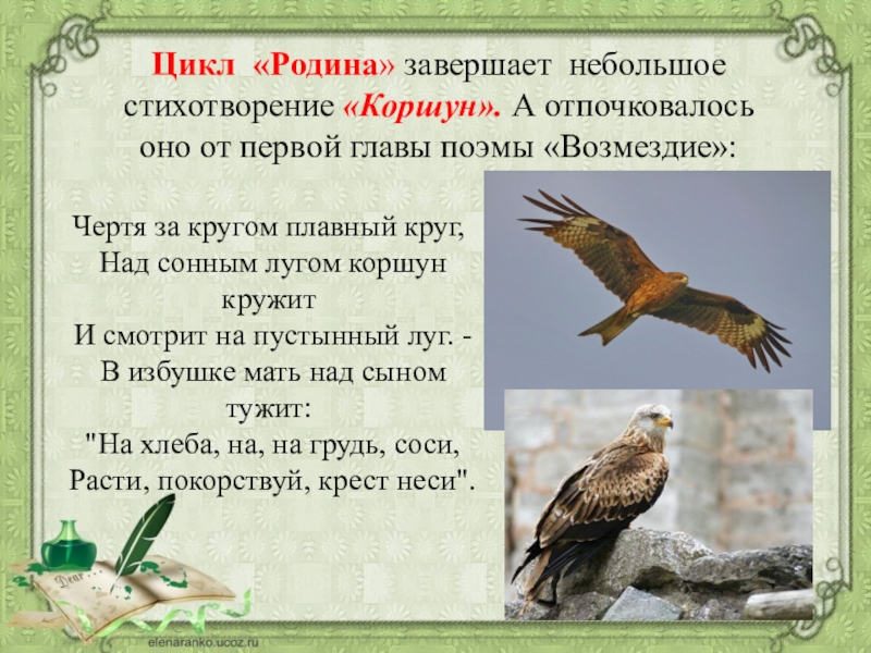 Анализ стихотворения коршун тютчев. Блок Коршун стихотворение. Александр блок Коршун. Коршун стих. Коршун птица описание.