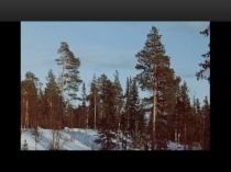 Презентация по математике на тему Обыкновенные дроби (5 класс)