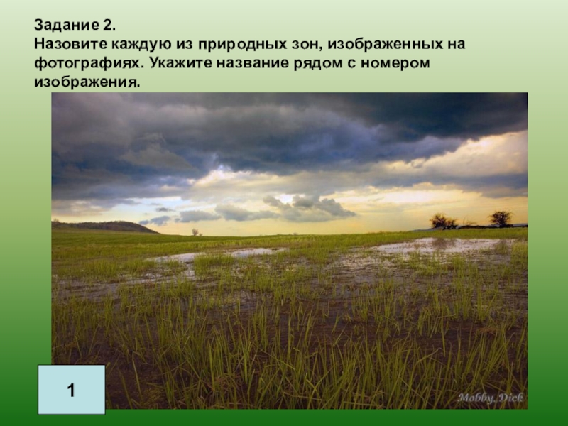 В какой природной зоне сильные ветры. Природные зоны фото. Природные зоны России презентация. Природные зоны Волги.
