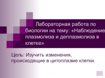 Презентация.Лабораторная работа Наблюдение плазмолиза и деплазмолиза в клетке