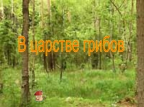Презентация по окружающему миру  В царстве грибов (1 класс)