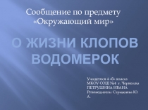 Презентация по предмету Окружающий мир Водомерка