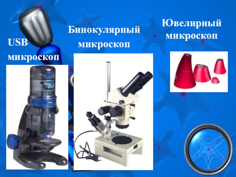 Презентация о микроскопе 5 класс