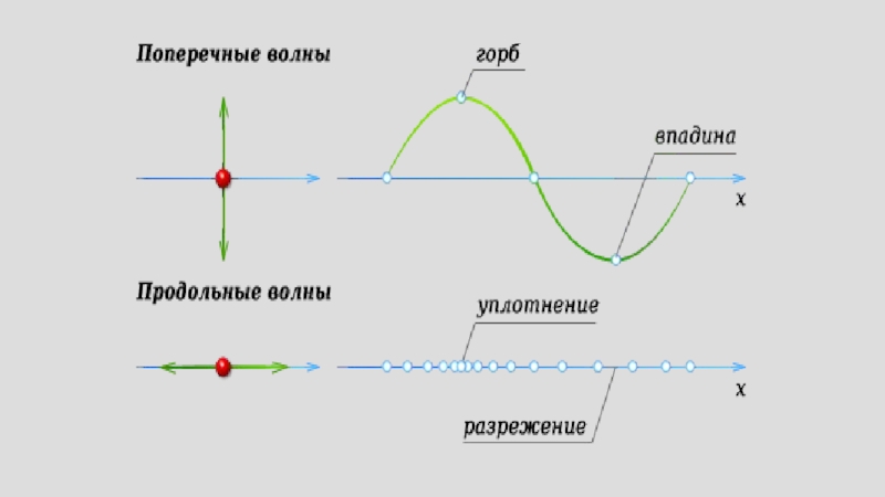 Поперечные волны 9 класс