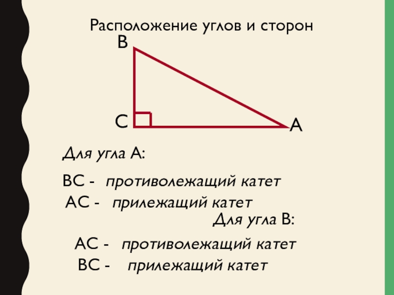 Тангенс угла в остром угле. Расположение углов. Противолежащие и прилежащие стороны прямоугольного треугольника. Расположение под углом. Катет AC противолежащий для угла.