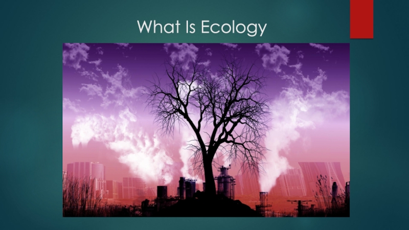 Презентация Презентация по английскому языку на тему  Экология