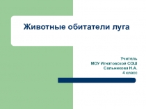 Презентация по окружающему миру на тему: Животные - обитатели луга (4 класс) УМК Планета знаний