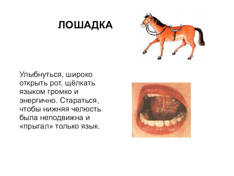 Лошадка картинки для детей артикуляционная гимнастика