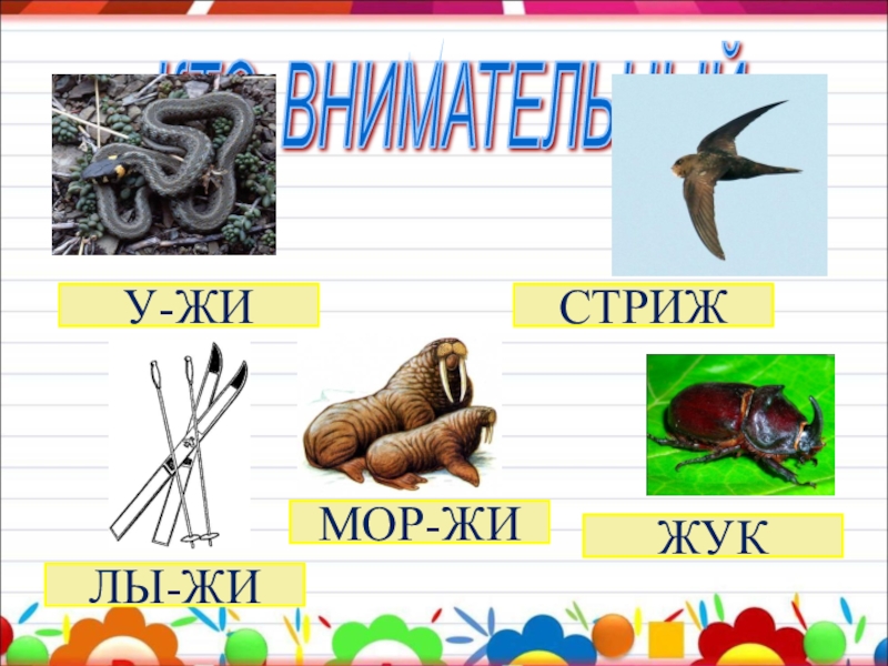 Есть города на букву ж. Урок обучения грамоте 1 класс буква ж. Звук ж Жук. Название животных с буквой ж. Буква ж Жук.