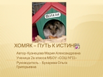 Презентация ЕСТЬ ЛИ СПОСОБНОСТЬ К ОБУЧЕНИЮ У ДЖУНГАРСКИХ ХОМЯКОВ?