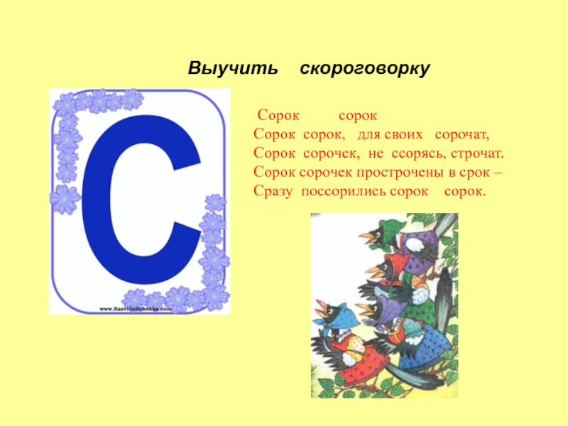 Сорок указанный. Сорок сорок скороговорка. Выучить скороговорку. Скороговорка про сороку. Скороговорки про сорок.