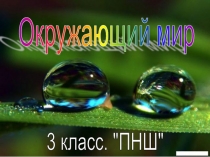 Презентация к уроку окружающего мира на тему Вода - растворитель