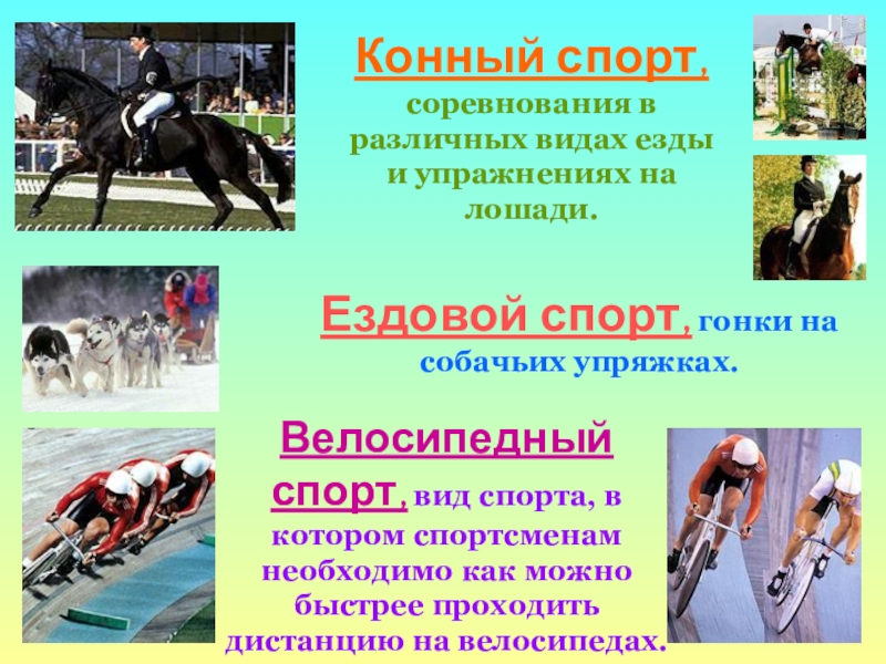 Конный спорт, соревнования в различных видах езды и упражнениях на лошади.Ездовой спорт, гонки на собачьих упряжках.Велосипедный спорт,