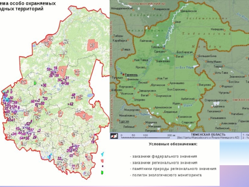 Территории регионального значения. Особо охраняемые природные территории Тюменской области. Карта ООПТ Тюменской области. ООПТ на территории Тюменской области. Заповедники Тюменской области на карте.