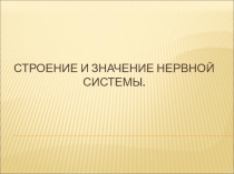 Презентация по биологии на тему Строение и значение нервной системы
