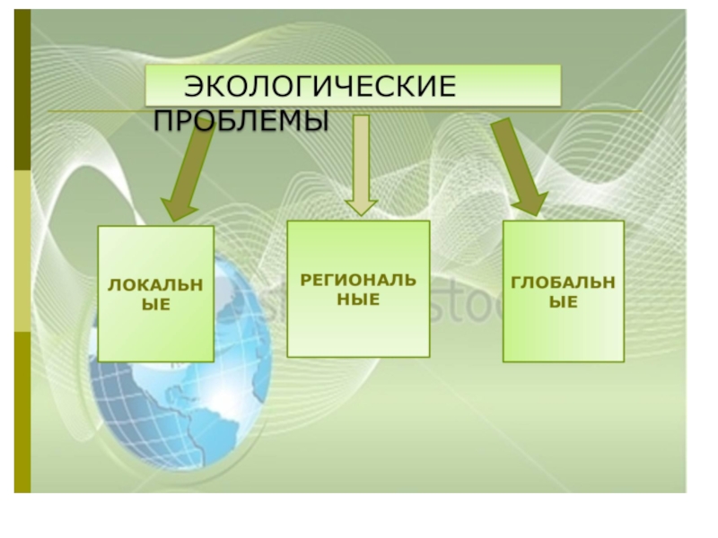 Презентация по обществознанию 7 класс экологические проблемы