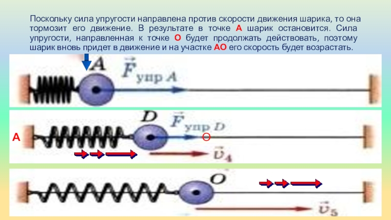 Сила упругости направлена. Физика 9 класс колебательное движение свободные колебания. Сила упругости колебания. Как направлена сила упругости.