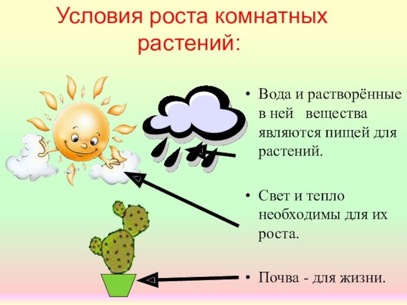Условия роста растений 6 класс