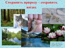 Презентация к уроку -проекту по экологическому воспитанию учащихся