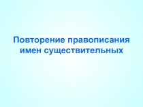 Презентация по русскому языку на тему  Существительное