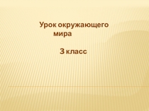 Презентация по окружающему миру на тему Почва и её состав