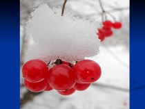 Презентация к внеурочному занятию Зимушка-зима