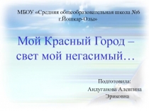 Презентация по истории Красный город