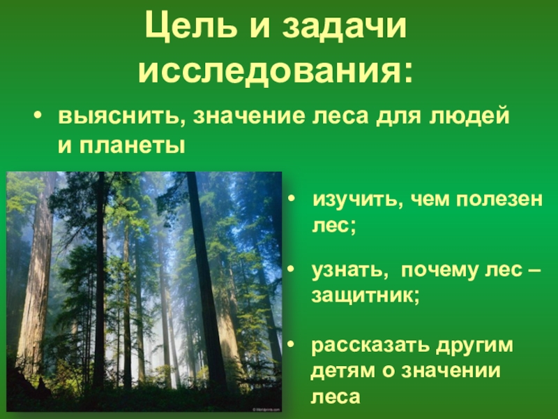 Лес и человек 4 класс окружающий мир презентация