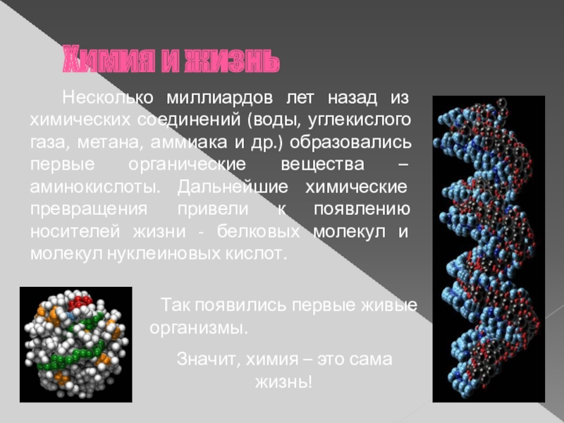 Реферат на тему роль