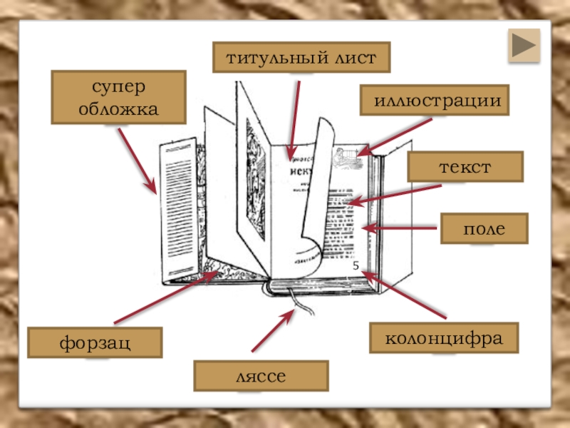 Лицевая сторона проекта