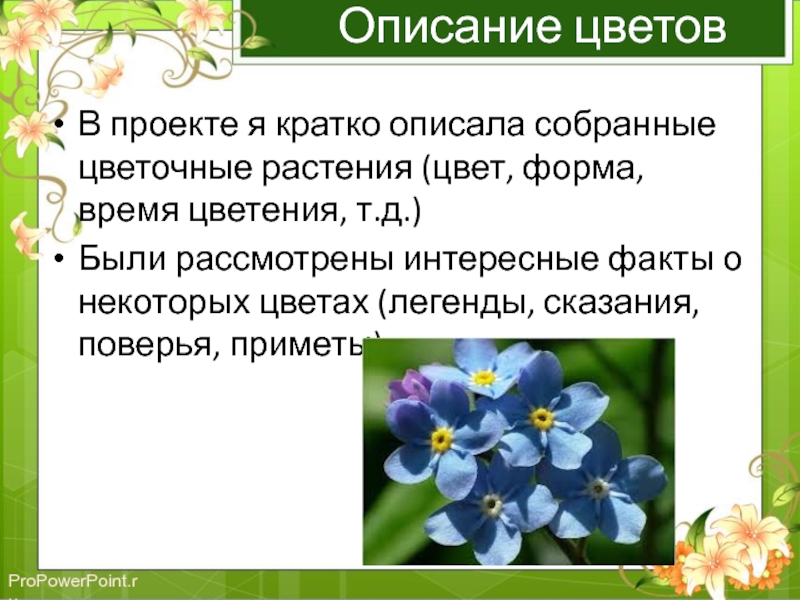 Описания цветочков. Описание цветов. Описать любой цветок. Описание цветков. Описать цветочные растения.