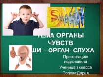 Презентация по окр. миру 3 класс