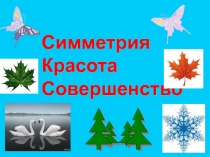 Презентация к интегрированному уроку Красота и симметрия в окружающем мире