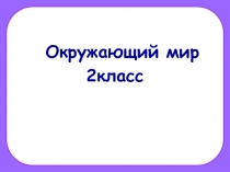 Презентация по окружающему миру (2 класс)