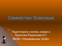 Презентация по биологии на тему Семейство Злаковые (6 класс)