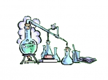 Презентация к уроку Химические свойства амфотерных оснований в 11 классе