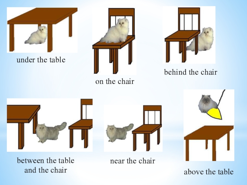 Is it near the table. Under the Table. On under the Table Chair. Картинка on in under the Table. Примеры слов с Chair.