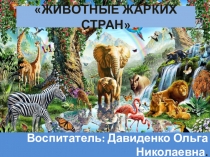 Животные жарких стран