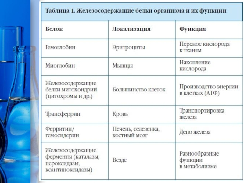 Заполни таблицу функции белков. Миоглобин и гемоглобин отличия и сходства. Сравнение миоглобина и гемоглобина таблица. Гемоглобин и миоглобин сравнение. Сравнение строения миоглобина и гемоглобина.