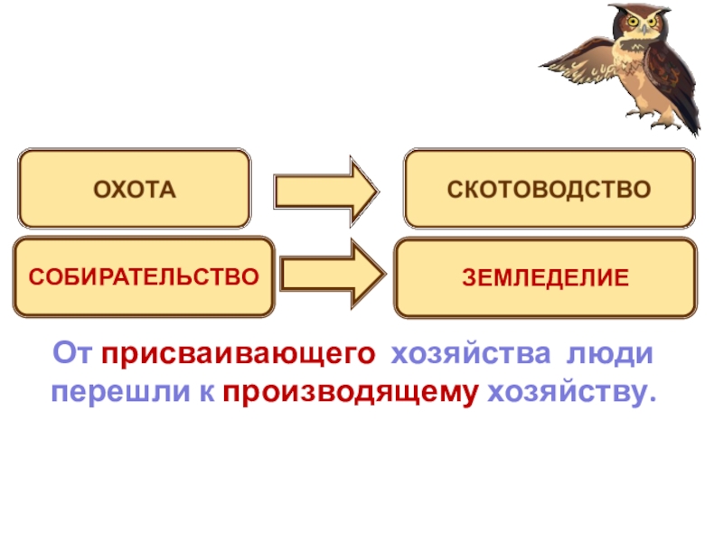 Заполни схему земледелие это