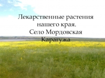 Презентация по биологии Лекарственные растения