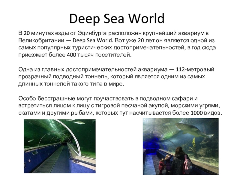 В 20 минутах езды от Эдинбурга расположен крупнейший аквариум в Великобритании — Deep Sea World. Вот уже