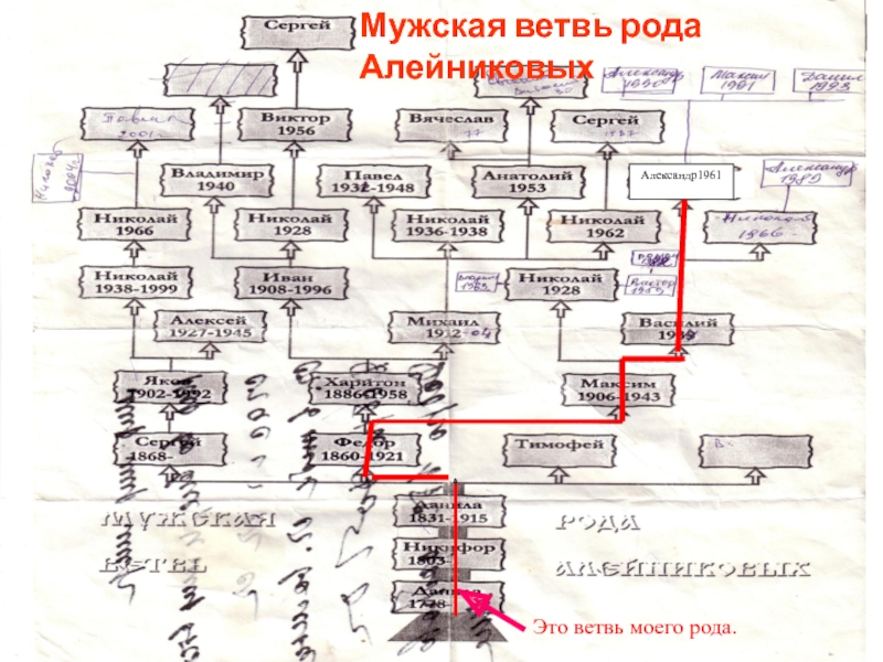 Ветвь это. Родовая ветвь. Родовая ветка. Ветка ланстеров родовая. Восходящая ветвь в родословной.